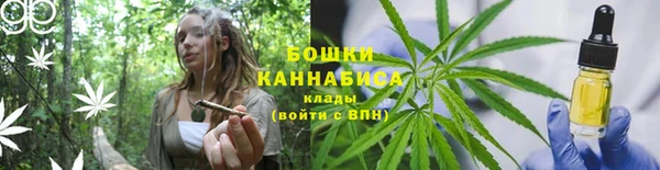 молекула духа Карпинск