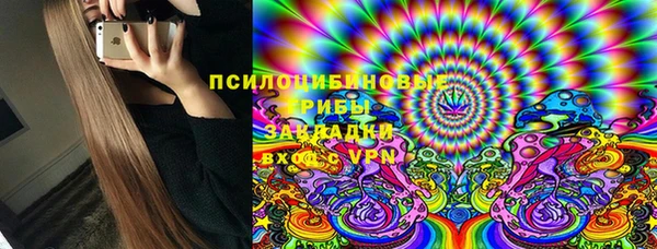 молекула духа Карпинск